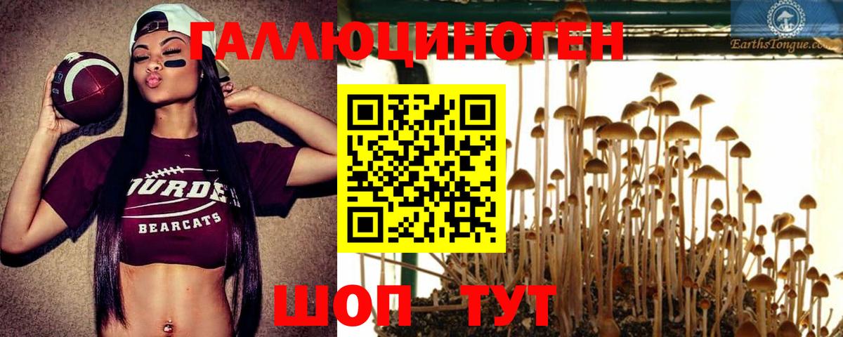Галлюциногенные грибы Magic Shrooms  наркошоп  Вход с VPN  Чайковский  Галлюциногенные грибы мухоморы 