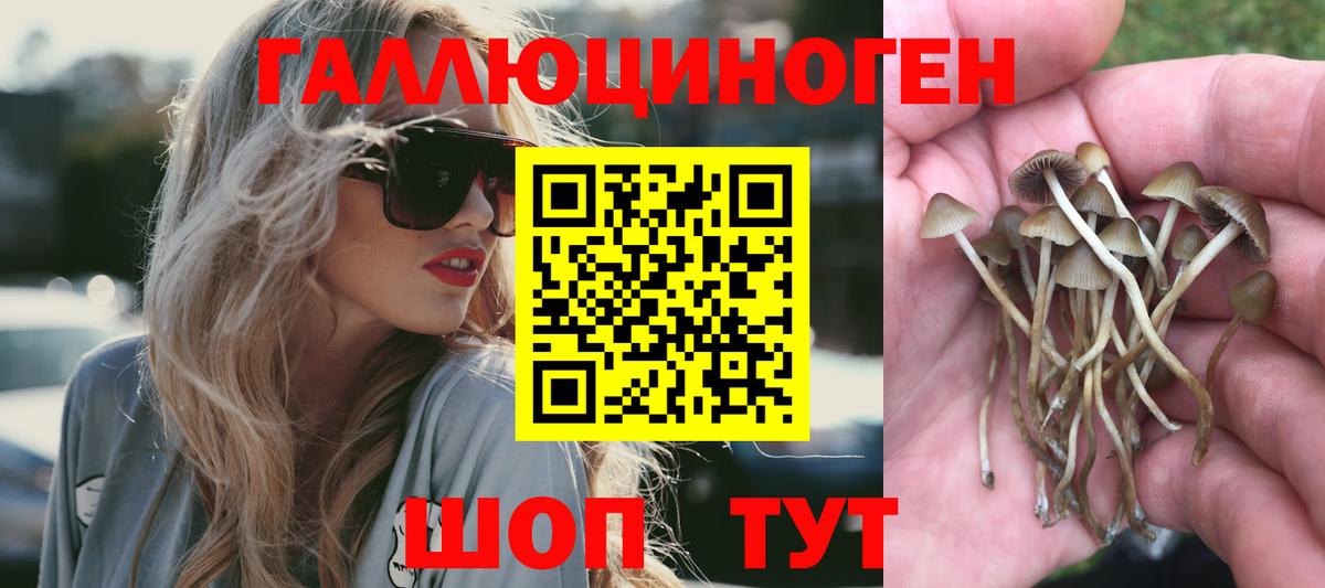 Псилоцибиновые грибы Magic Shrooms Чайковский